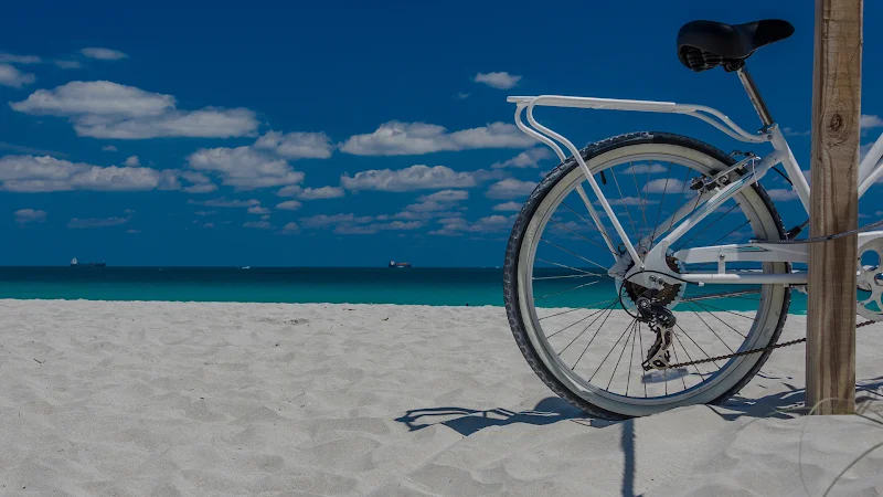RENT BIKE BIBIONE dal 1979 bike rental - fahrrad verlehei - rent scooter (casa del ciclo)